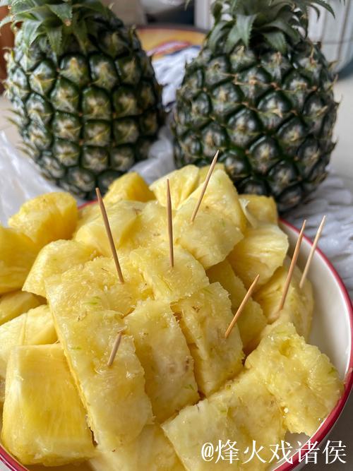 老款菠萝视频怀旧经典合集 老款菠萝视频怀旧经典合集