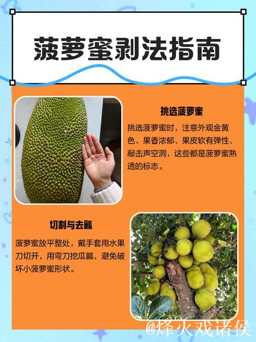 教你如何轻松切菠萝蜜的实用技巧视频